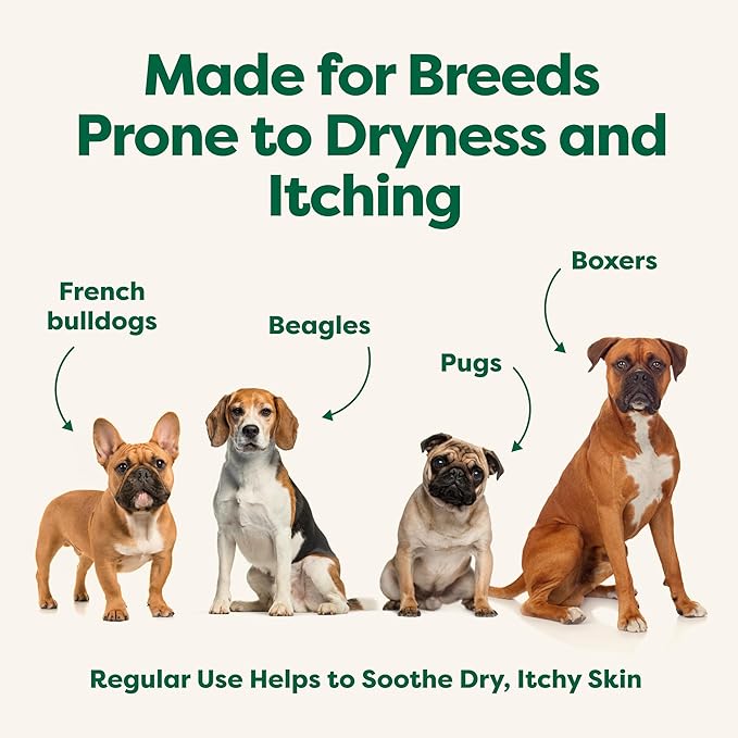 Earth Rated 3-in-1 Soothing Dog Shampoo and Conditioner, Deodorizing Oatmeal Shampoos for Dogs and