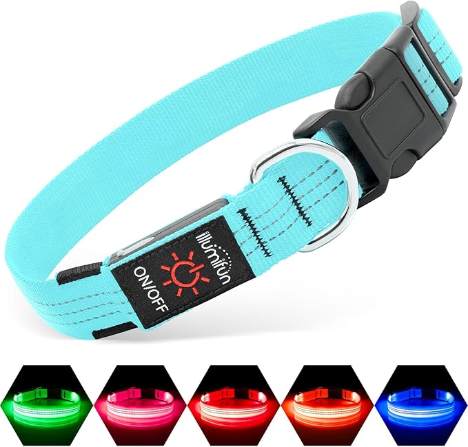 Illumifun Light Up Dog Collar, USB Rechargeable LED Dog Collar, Adjustable Reflective Lighted Pet
