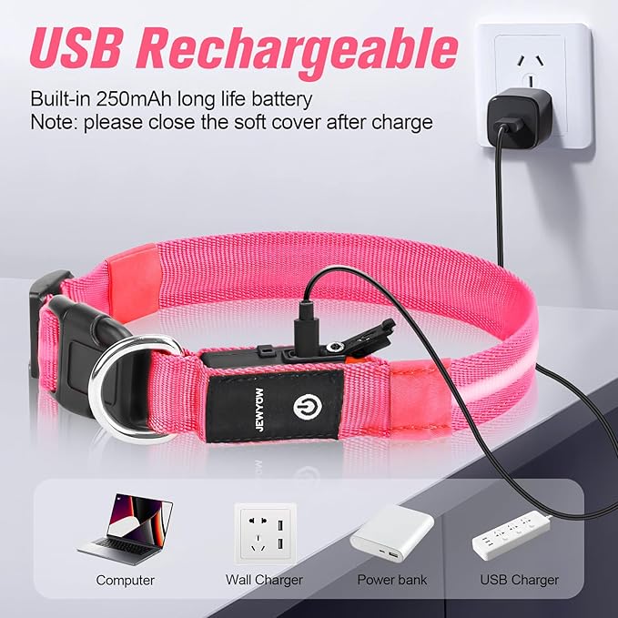 LED Dog Collar, Light Up Dog Collar, USB Rechargeable - Brightest Dog Lights for Night Walking, 6