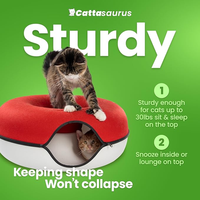 Cattasaurus Peekaboo Cat Cave, Extra Spacious for Multiple & Large Cats 12+ lbs, Scratch Detachable
