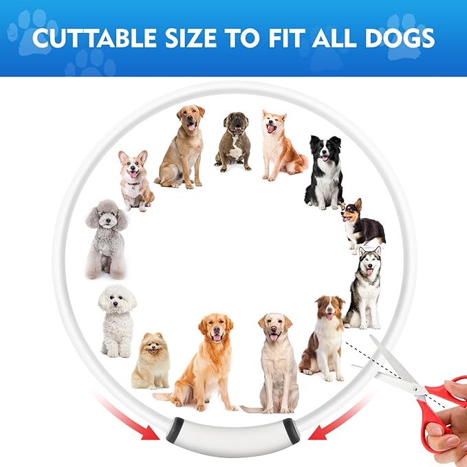 Lighted Dog Collar, Rechargeable 7 Colors Changing Light Up Dog Collar, IP67 Waterproof LED Collar