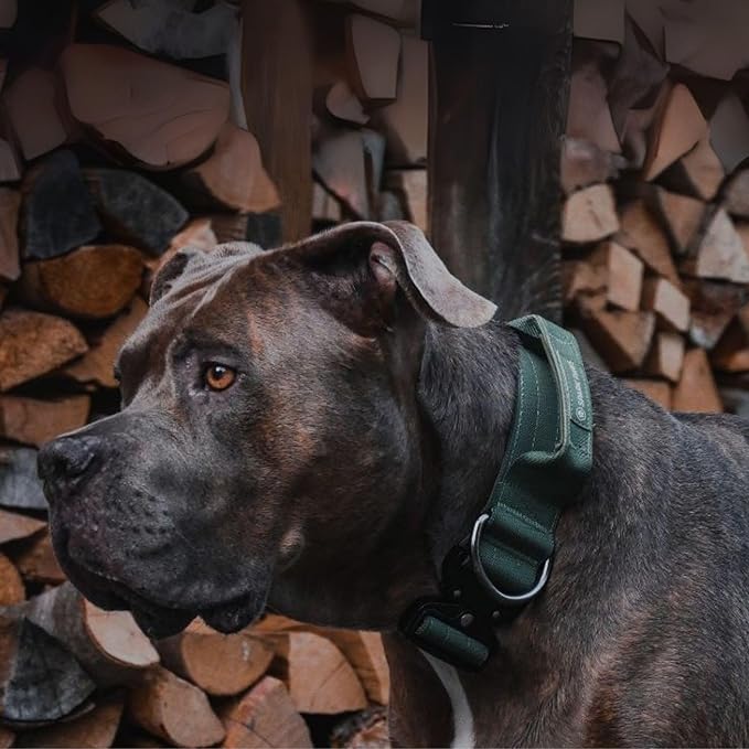 Spark Paws Tactical Dog Collar - Heavy Duty, Premium Quality, Thick and Durable for Large and
