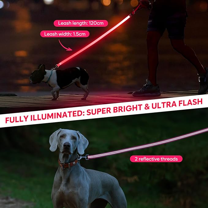 LED Dog Leash, 4 Ft Light Up, USB Rechargeable, Waterproof, Nylon Reflective with Padded Handle