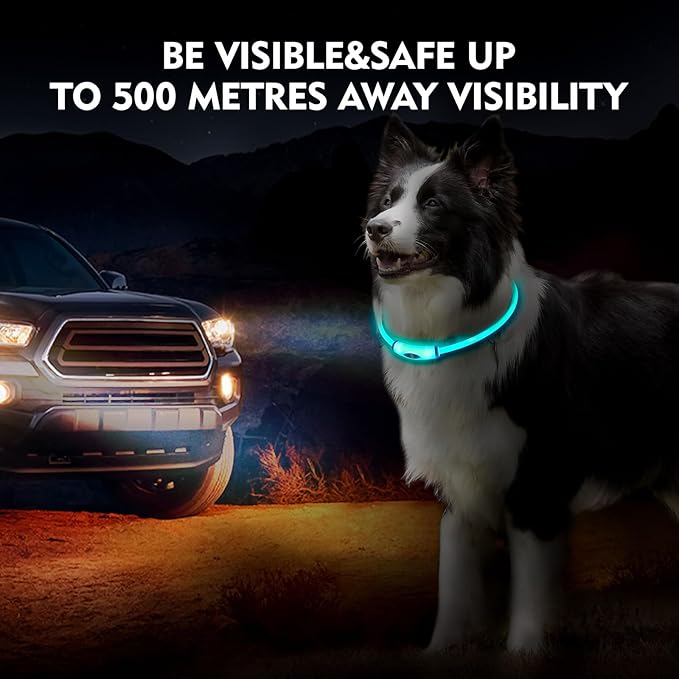 Lighted Dog Collar, Rechargeable 7 Colors Changing Light Up Dog Collar, IP67 Waterproof LED Collar