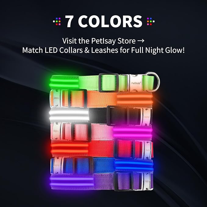 LED Dog Collar with Metal Buckle - USB Rechargeable Glow Collar for Dogs, Waterproof Light Up Dog