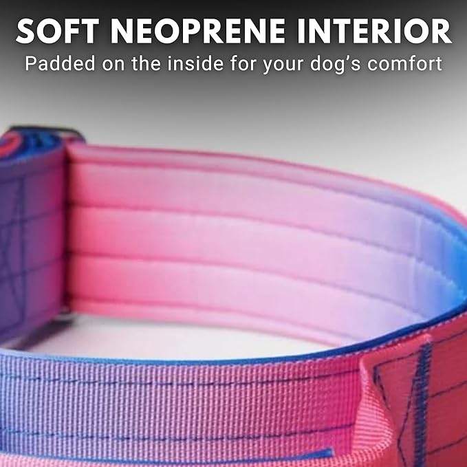Tactical Dog Collar with Handle - Premium Quality Collar, Robust and Durable Design for Large
