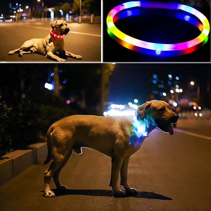 Light Up Dog Collar, Rechargeable Glowing Dog Collar, Light Dog Collar for Night Walking with 1640