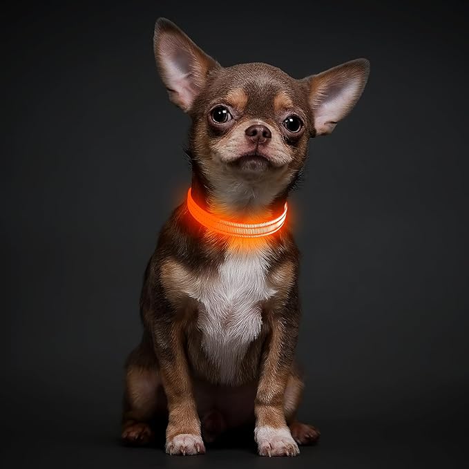 Illumifun Light Up Dog Collar for Small Dogs Cats, Rechargeable LED Dog Collar Glow at Night