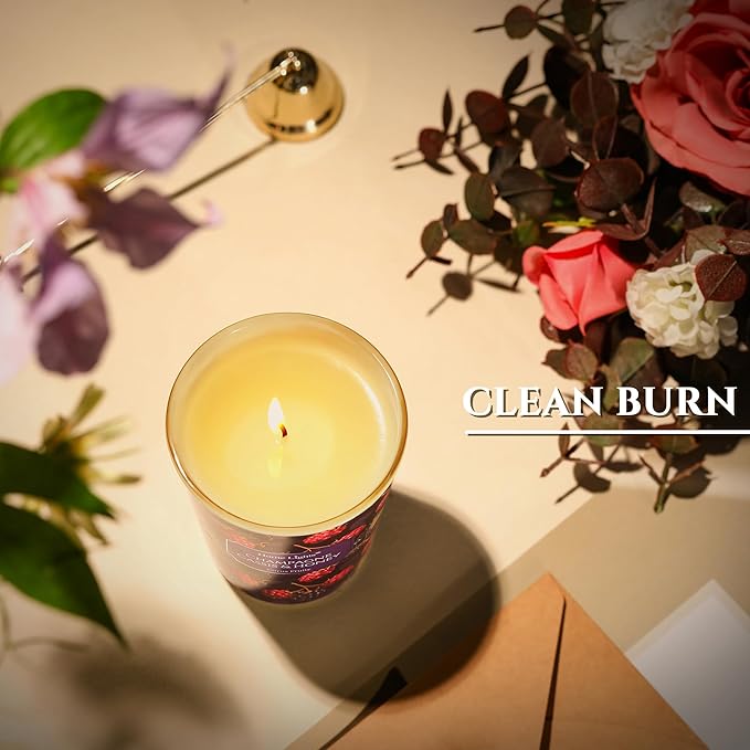 HomeLights Scented Candles for Women & Men, 6.7oz Candle Jars Aromatherapy Single Wick Candle