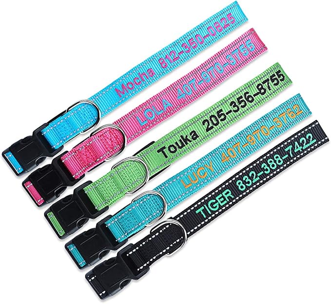 Personalized Dog Collar, Custom Embroidered Pet Name and Phone Number 4 Adjustable Sizes X-Small