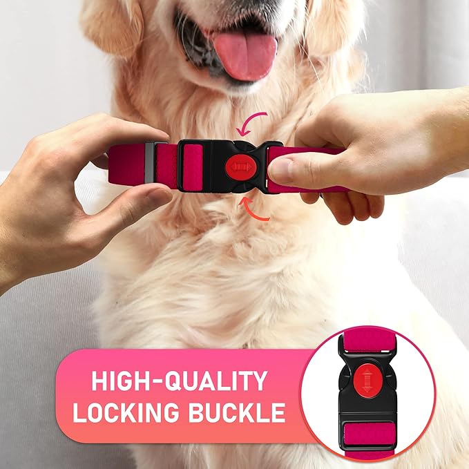 Adjustable Dog Collar with Safety Lock Buckle - Made in USA - Honeycomb Waterproof Heavy Duty Dog