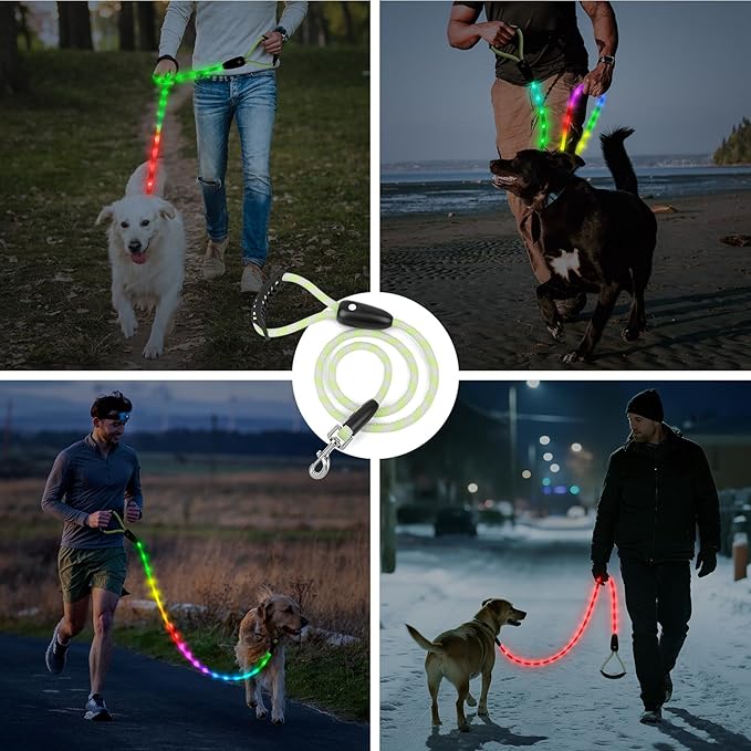 BSEEN Light Up Dog Leash - LED Dog Leash Type-C Rechargeable, 13 Lighting Modes, Glow in The Dark