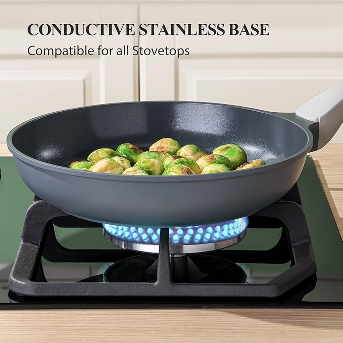 PRICUSIS Nonstick Ceramic Frying Pan with Lid, Non Toxic Skillet, Healthy Egg & Omelet & Chef's
