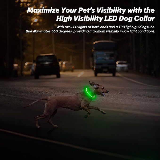 BSEEN Light Up Dog Collar - LED Dog Collar Rechargeable, Glowing Pet Collars for Small Medium Large