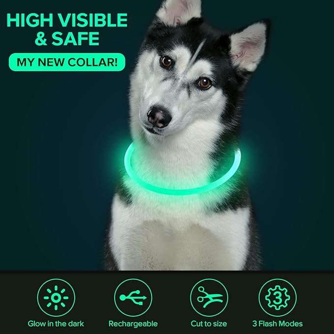 Colaseeme LED Dog Collar Light Up Dog Collars 1 Count USB Rechargeable TPU Glow Safety Basic Dog