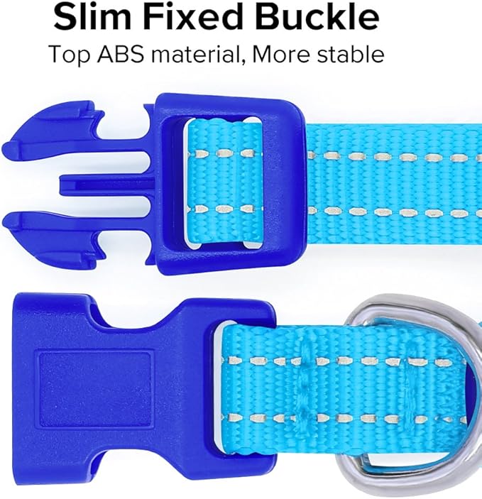 BSEEN Light Up Dog Collar, Rechargeable LED Dog Collar Reflective Glowing Pet Collar for Puppies &