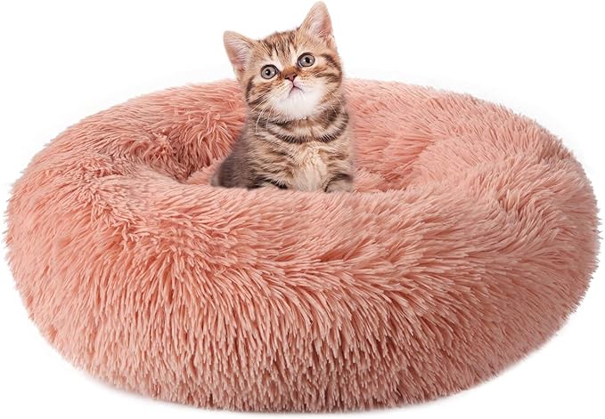 rabbitgoo Cat Beds for Indoor Cats, 20 inches Cat Bed Machine Washable, Fluffy Round Pet Bed