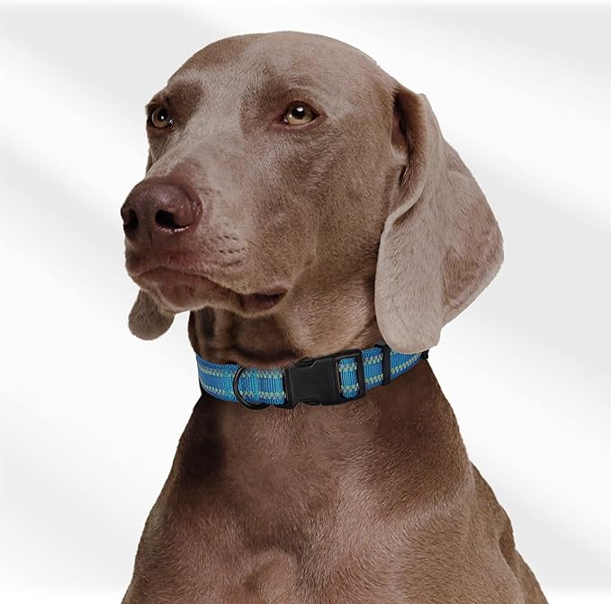 Mile High Life Reflective Dog Collar, Basic Dog Collars Adjustable Quick Release, Soft Nylon Pet