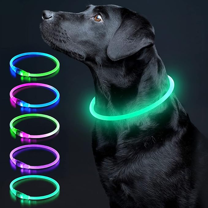Colaseeme LED Dog Collar Light Up Dog Collars 1 Count USB Rechargeable TPU Glow Safety Basic Dog