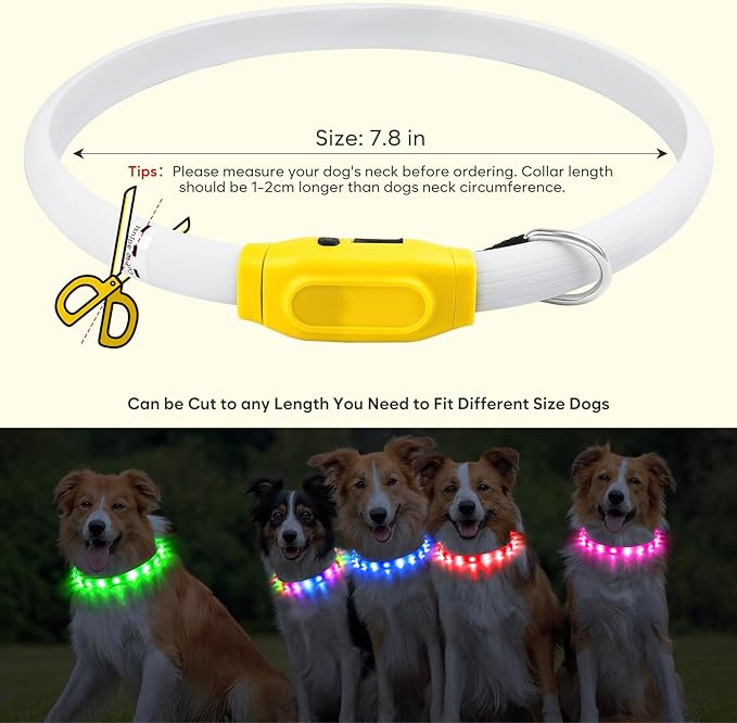 Flashseen LED Dog Collar, USB Rechargeable Glowing Lighted Up Collar, Cuttable Water-Resistant TPU