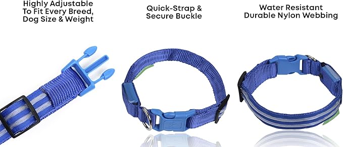 Illumiseen LED Dog Collar USB Rechargeable - Bright & High Visibility Lighted Glow Collar for Pet