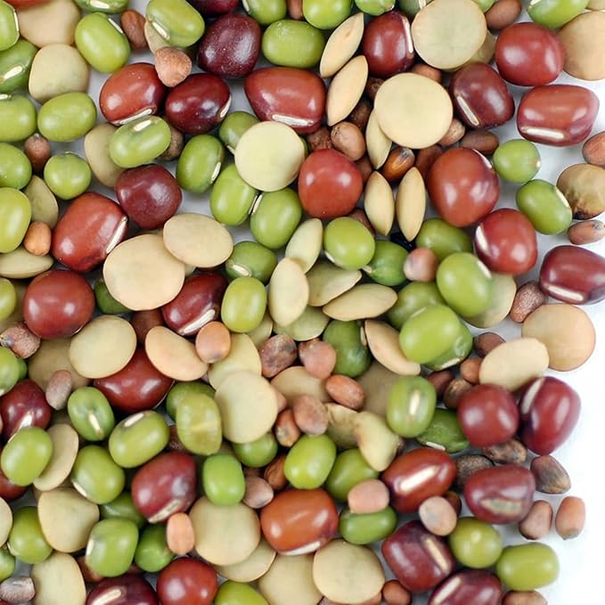 Handy Pantry Bean Salad Sprouting Seed Mix- Certified Organic- 5 Lbs Brand: Mix of Bean Sprout