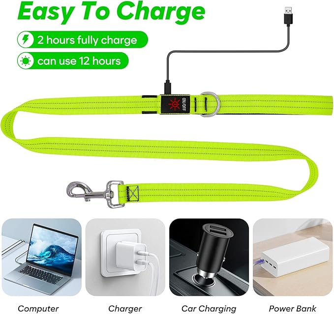 4 Ft LED Dog Leash, Rechargeable Light Up, Safety Glow in The Dark, Nylon Reflective with Padded