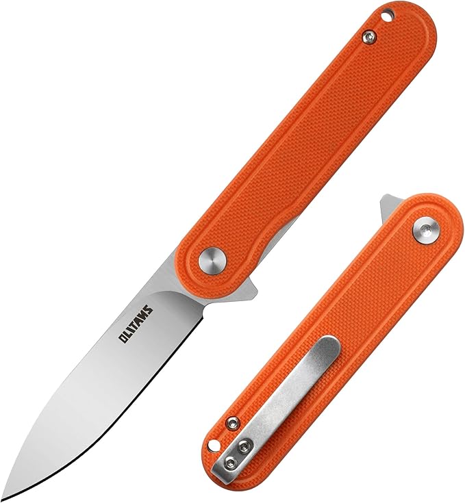 G040 Pocket Knife, 2.75'' D2 Steel Blade G10 handle, Small EDC Knife with Pocket Clip for Men