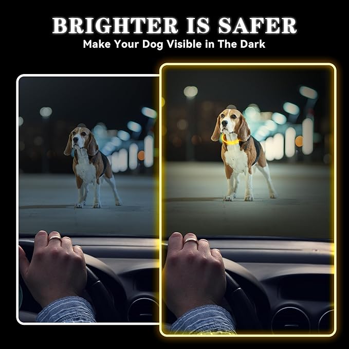 Light Up Led Dog Collar Rechargeable Waterproof, Glow in Dark Dog Collar, TPU Cuttable Lighted Dog