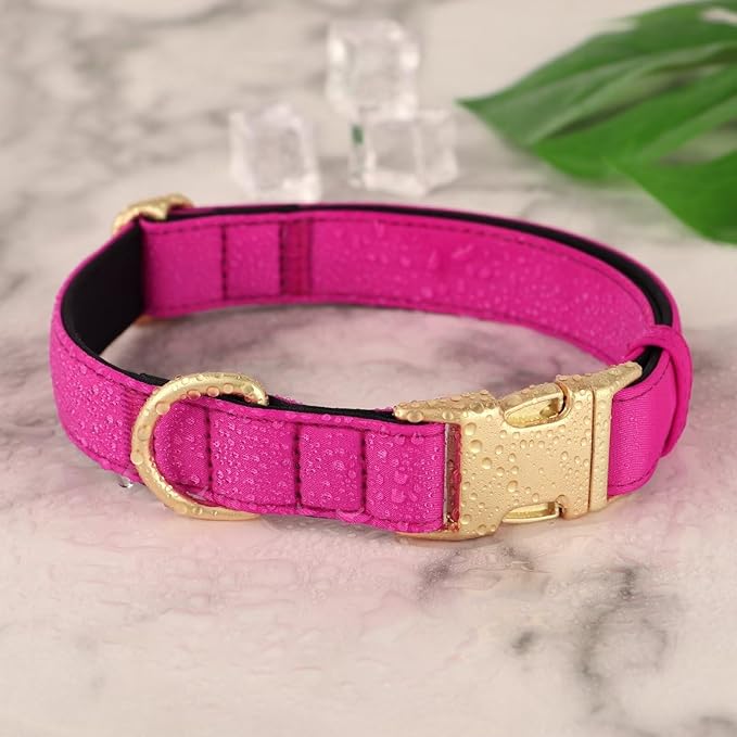 Didog Soft Padded Dog Collar for Large Dogs, Colorful and Durable Pet Collar with Quick Release