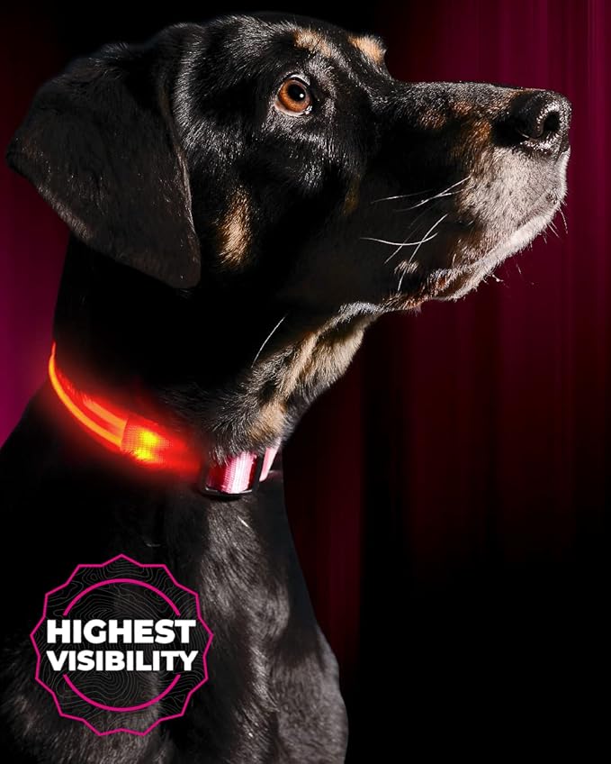 ILLUMISEEN LED Dog Collar USB Rechargeable - Bright & High Visibility Lighted Glow Collar for Pet
