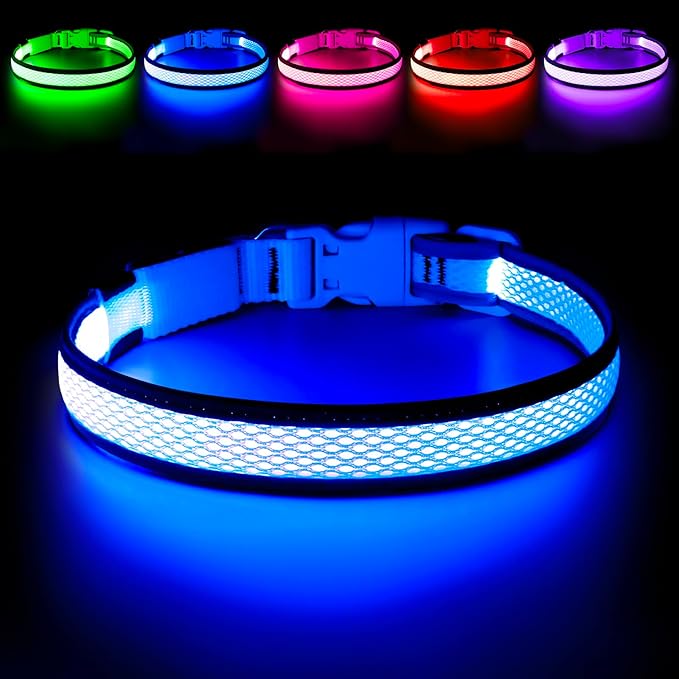 LED Dog Collar, Light Up Dog Collar USB Rechargeable, Brightest Dog Lights for Night Walking