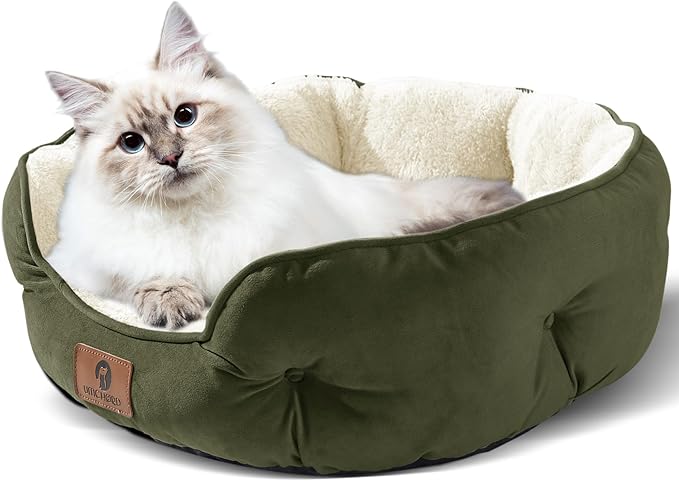 Asvin Medium Dog Bed for Medium Dogs, Cat Beds for Indoor Cats, Pet Bed for Puppy and Kitty, Extra