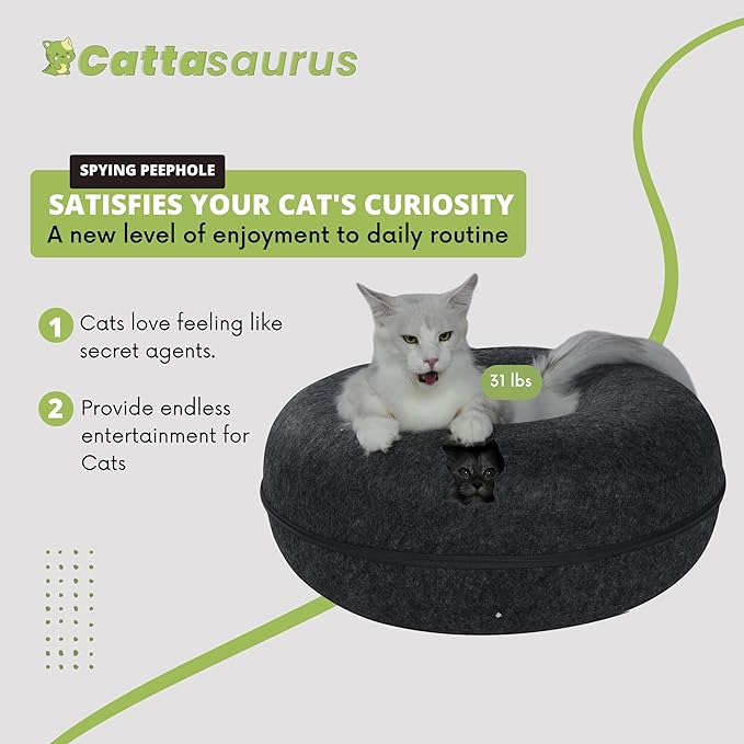 Cattasaurus Peekaboo Cat Cave, Extra Spacious for Multiple & Large Cats 12+ lbs, Scratch Detachable