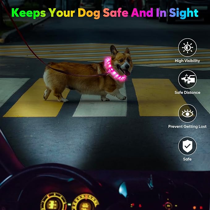 Flashseen LED Dog Collar, USB Rechargeable Glowing Lighted Up Collar, Cuttable Water-Resistant TPU