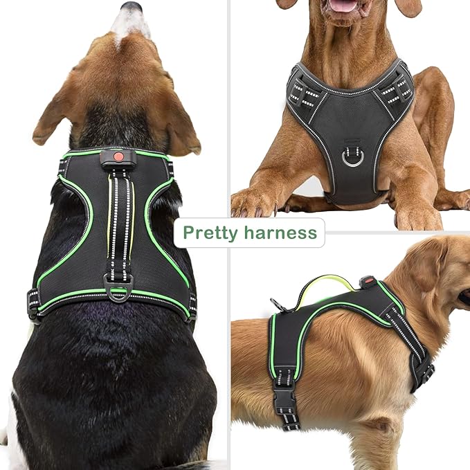 Light Up Dog Harness, No Pull LED Dog Harness with Handle, Rechargeable Lighted Safety Vest for