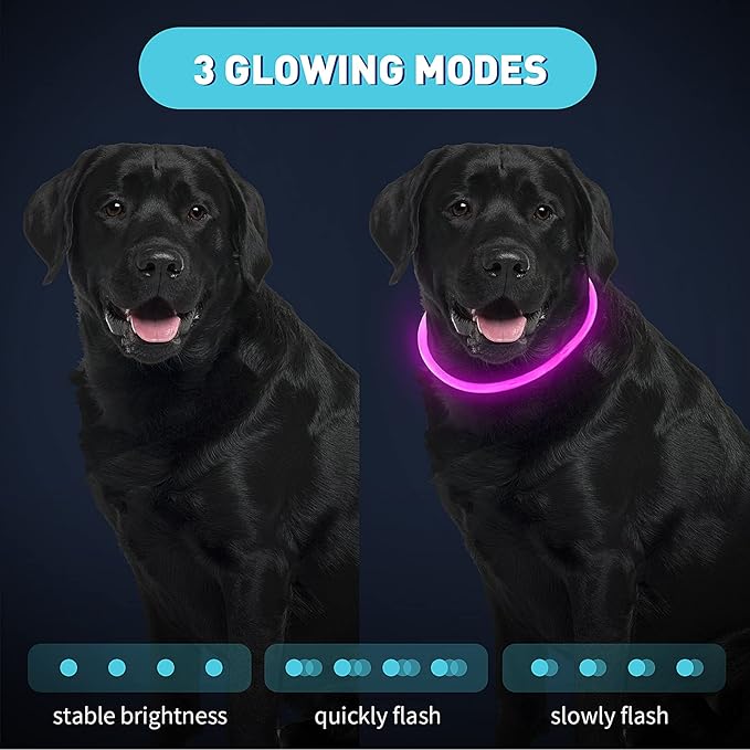 Frienda 4 Pcs Dog Collar LED USB Rechargeable Lights Dog Necklace Collars Doggy Lights for Night