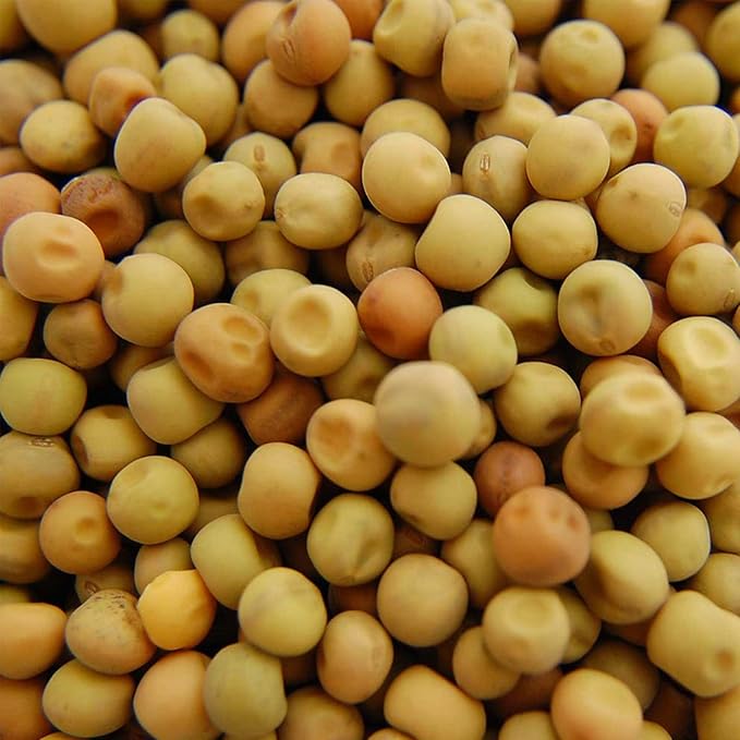 Handy Pantry Dun Pea Sprouting Seeds - 35 Lbs - Dried Dun Peas - Edible Seeds, Gardening
