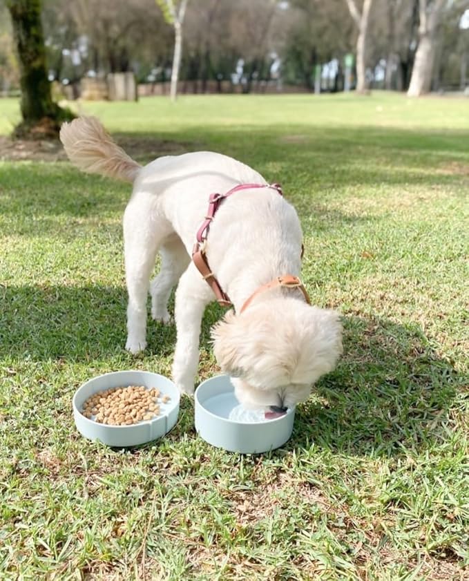 Barkin??Trails Travel Dog Bowls, Portable Outdoor Water, BPA-Free Water Bowl Set, Food Grade