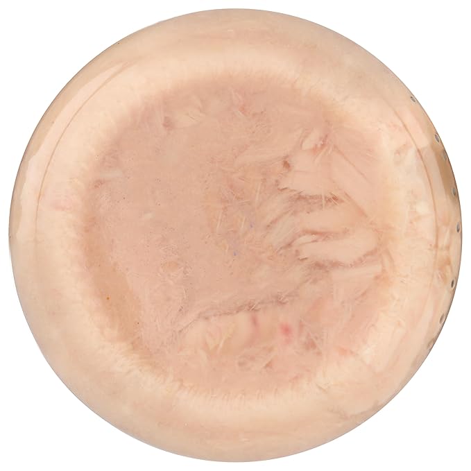 Tuna Fish (Pack of 1, Spring Water)