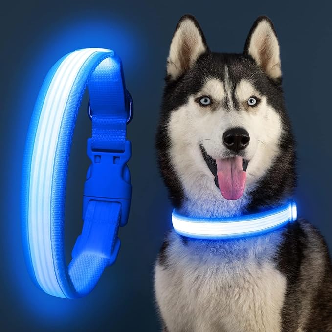 YFbrite Light up Dog Collar, USB Rechargeable LED Puppy Collar Super Bright Adjustable Glowing Dog