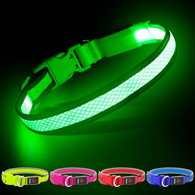 YFbrite Light up Dog Collar, USB Rechargeable LED Puppy Collar Super Bright Adjustable Glowing Dog