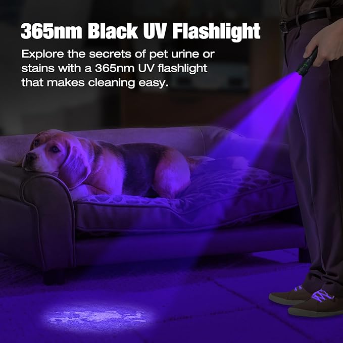 ULTRAFIRE 15W Rechargeable UV Flashlight - 365nm Blacklight Flashlight for Pet Urine