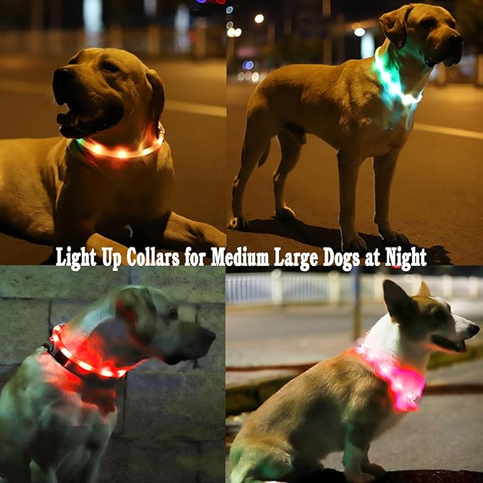 2 Pack Light Up Dog Collars with 1640 Feet of Visibility - Brightest Glow Dog Collar Light