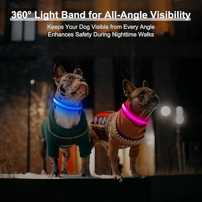 Light Up Dog Collar, Multicolor LED Dog Collar with 7 Modes, USB-C Rechargeable Reflective Glow