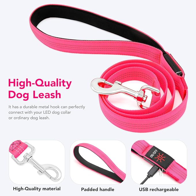 Colaseeme Light Up Dog Leash, LED Pet Leashes USB Rechargeable, Glow Safety Dogs Lights at Night