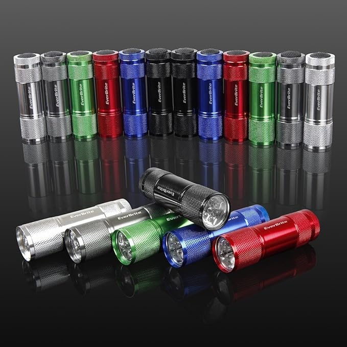 EverBrite 18-Pack Mini LED Flashlight Set - Portable Flashlights Ideal for Hurricane Supplies