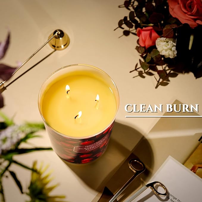 HomeLights Soy Wax Candles for Home Scented, 3-Wick Candles in Blackcherry Merlot Scented