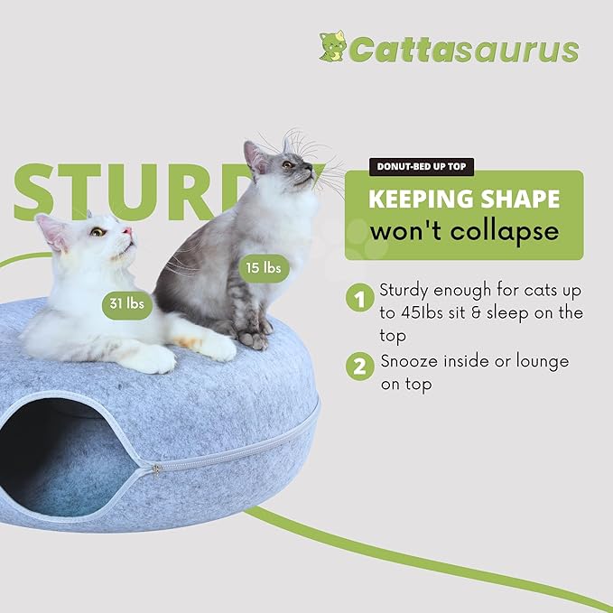 Cattasaurus Peekaboo Cat Cave, Extra Spacious for Multiple & Large Cats 12+ lbs, Scratch Detachable