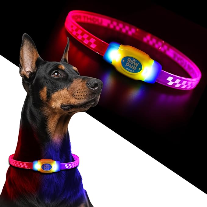 LaRoo LED Light Up Dog Collar, Multi-Color Glowing Safety Pet Collar, Rechargeable Night Visibility